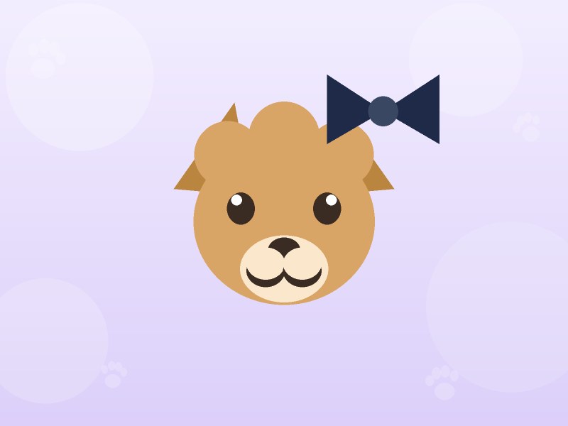Papyonlu poodle